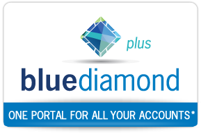client-online-account-access-BlueDiamond2